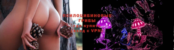 молекула духа Михайловка