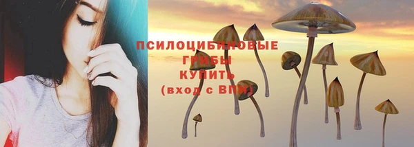 прущий лед Михайловск