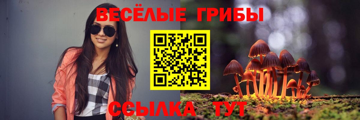 даркнет сайт  Вход с VPN  Мичуринск  Галлюциногенные грибы прущие грибы  Галлюциногенные грибы мицелий 